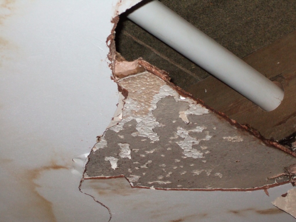 Making A Ceiling Repair Claim? Get High-Quality Repairs